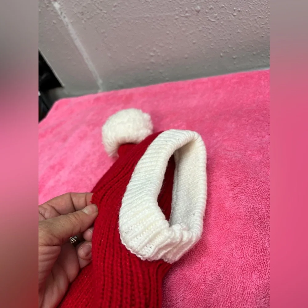Red and White Dog Christmas Hat